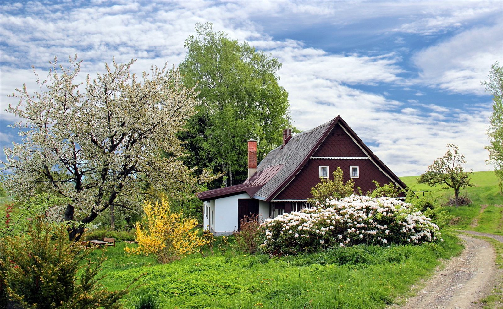 Einfamilienhaus mit Satteldach in einem Garten