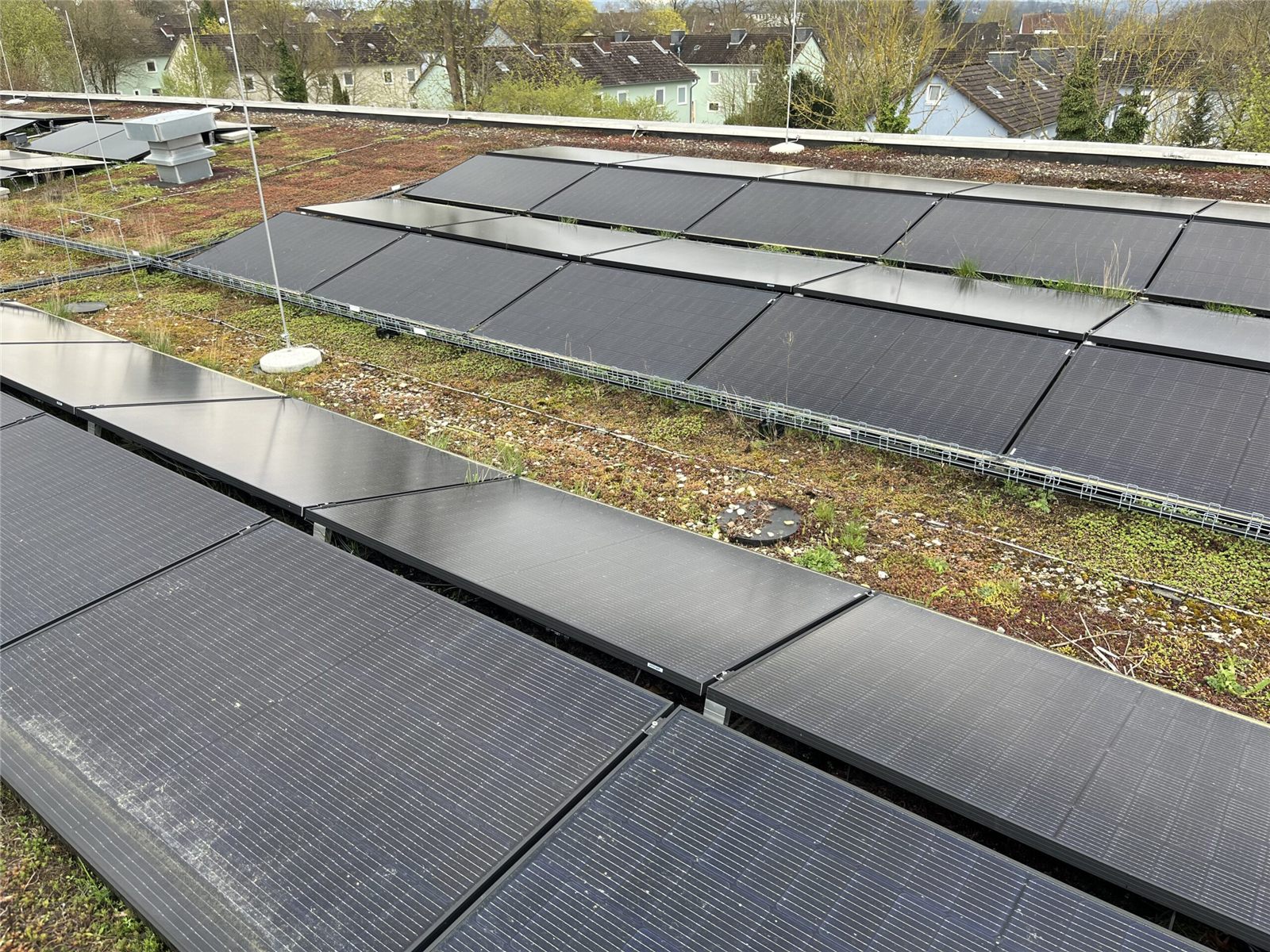 Photovoltaikmodule auf einem begrünten Flachdach